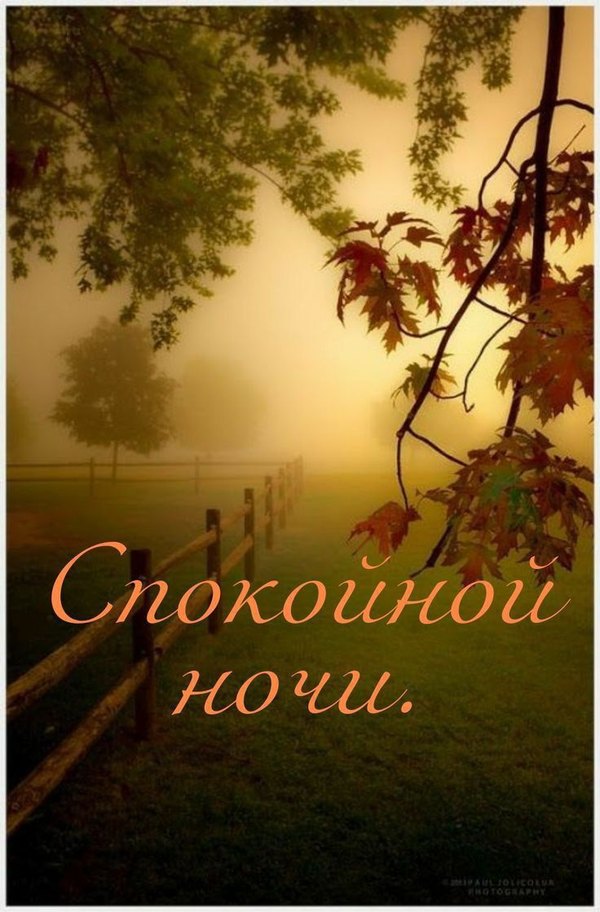 Изображение №17 736x1119  из коллекции «Осенние открытки «Спокойной доброй ночи!»»