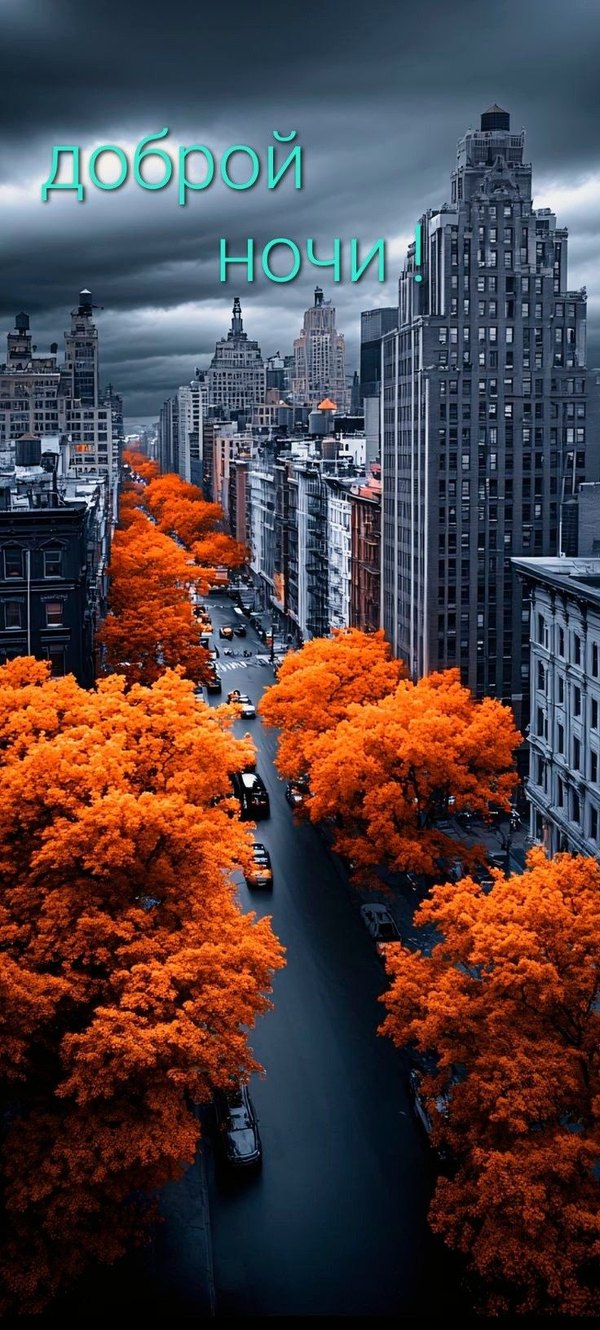 Изображение №38 736x1632  из коллекции «Осенние открытки «Спокойной доброй ночи!»»