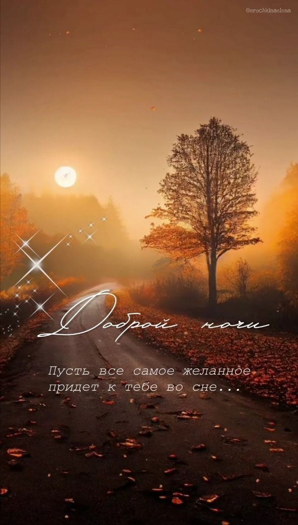 Изображение №30 728x1280  из коллекции «Осенние открытки «Спокойной доброй ночи!»»