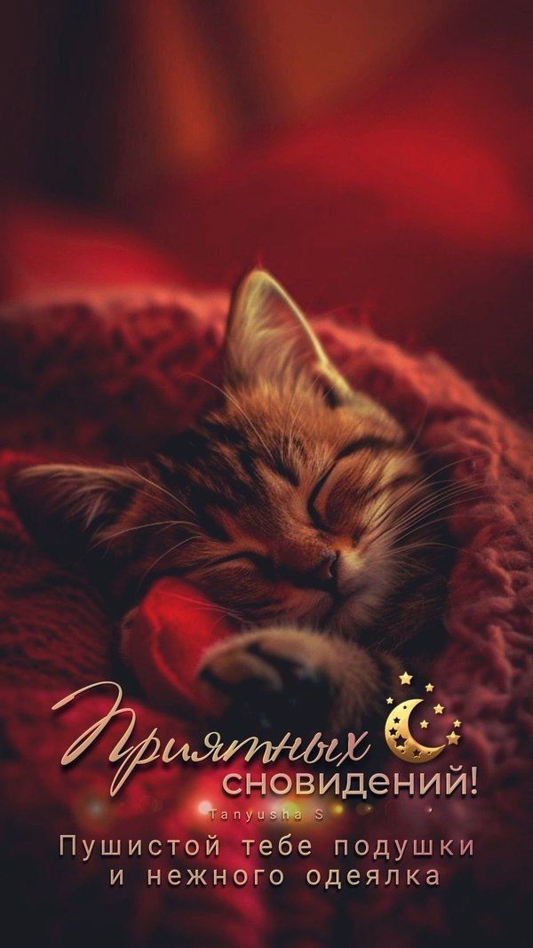 Изображение №12 1080x1920 «Приятных сновидений!» из коллекции «Осенние открытки «Спокойной доброй ночи!»»