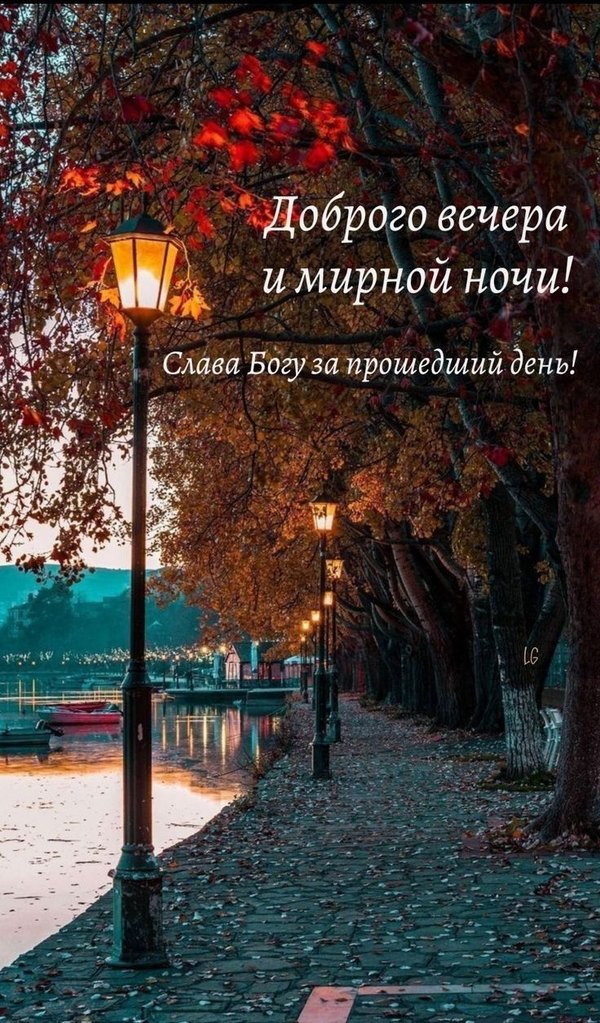 Изображение №1 736x1255 «Доброго вечера и мирной ночи!» из коллекции «Осенние открытки «Хорошего доброго вечера!»»