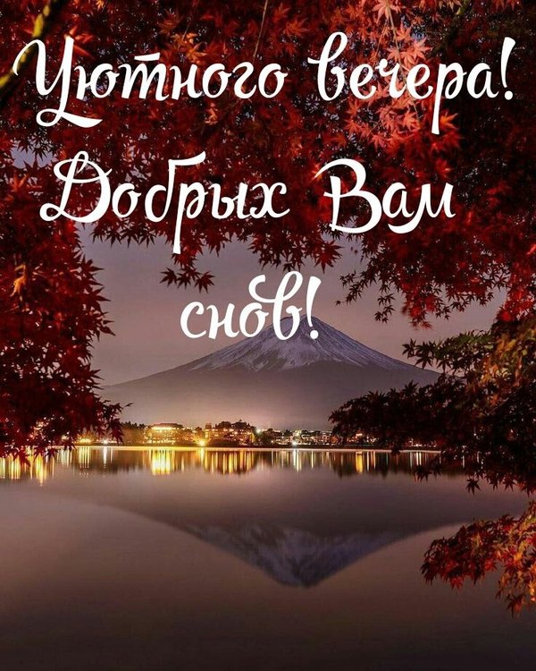 Изображение №10 736x920 «Уютного вечера! Добрых вам снов!» из коллекции «Осенние открытки «Хорошего доброго вечера!»»