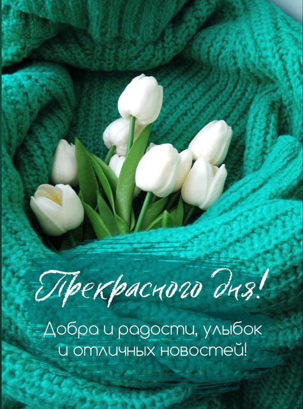 Изображение №12 890x1200 «Пожелание Прекрасного дня!» из коллекции «Весенние открытки «Хорошего доброго дня!»»