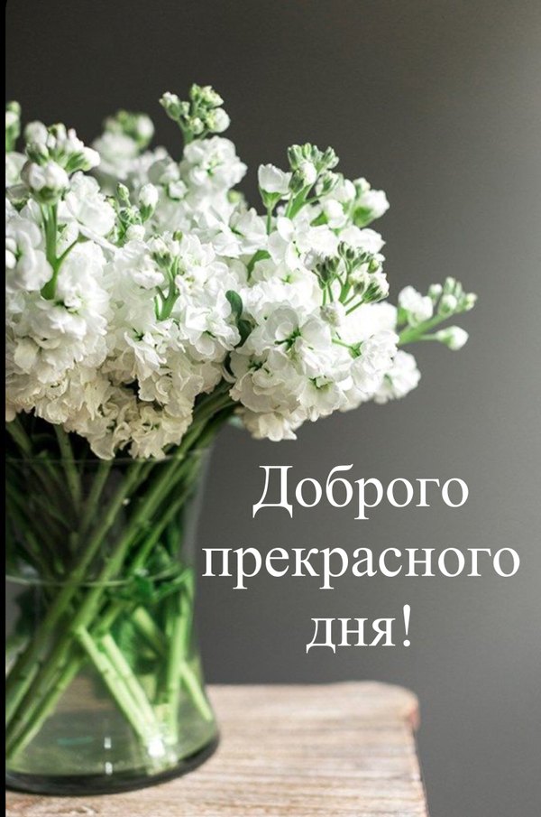 Изображение №33 3072x4638 «Доброго прекрасного дня!» из коллекции «Весенние открытки «Хорошего доброго дня!»»