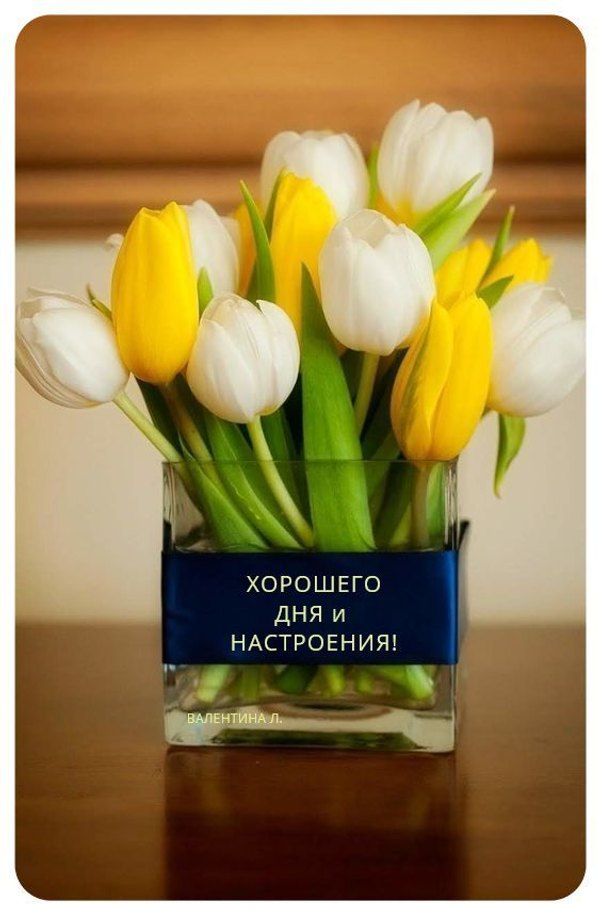 Изображение №39 563x858 «Хорошего дня и настроения!» из коллекции «Весенние открытки «Хорошего доброго дня!»»