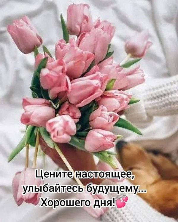 Изображение №13 819x1024  из коллекции «Весенние открытки «Хорошего доброго дня!»»