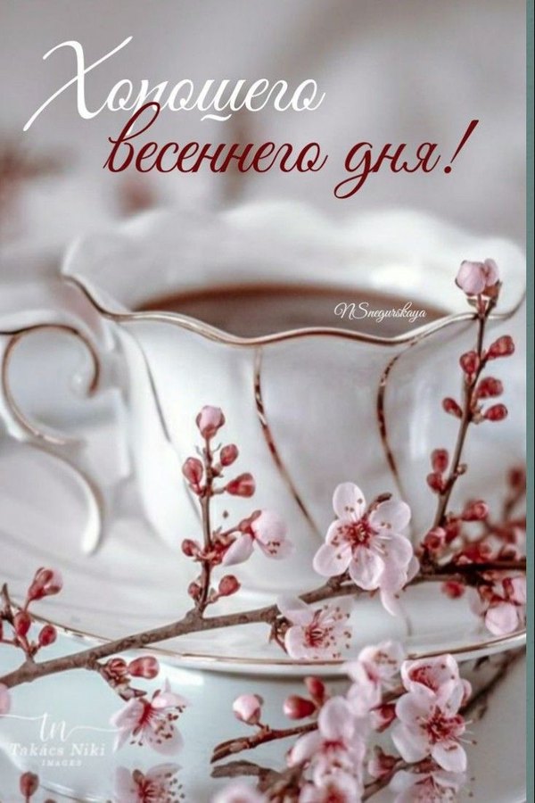 Изображение №22 735x1102 «Открытка Хорошего весеннего дня!» из коллекции «Весенние открытки «Хорошего доброго дня!»»