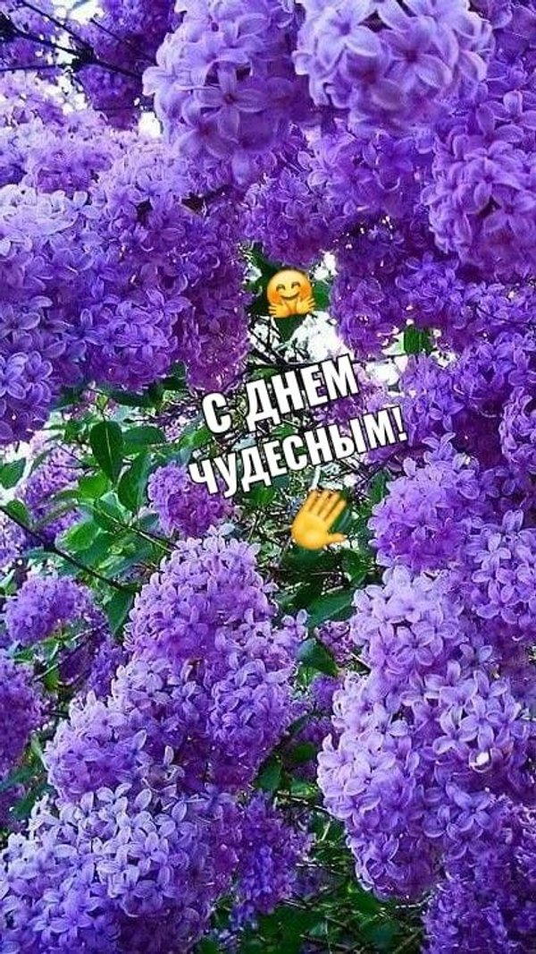 Изображение №34 420x746 «С днем чудесным!» из коллекции «Весенние открытки «Хорошего доброго дня!»»