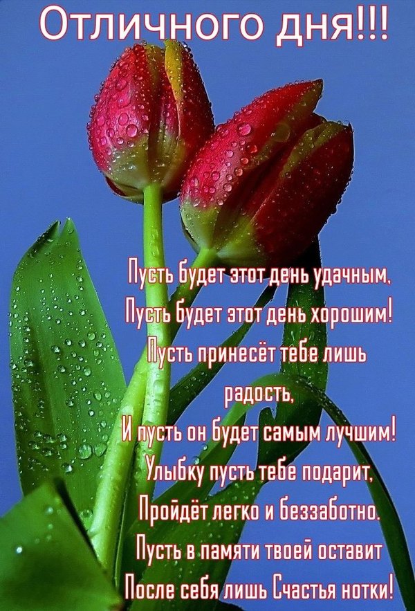 Изображение №47 736x1083 «Пожелание Отличного дня!» из коллекции «Весенние открытки «Хорошего доброго дня!»»
