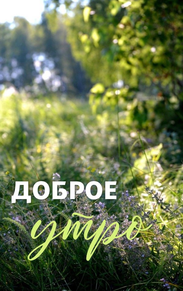 Изображение №79 1080x1720  из коллекции «Летние открытки «С добрым утром!»»