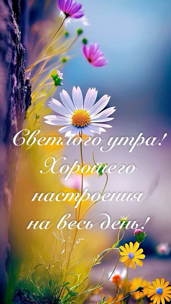 Изображение №12 1080x1920 «Светлого утра! Хорошего настроения на весь день!» из коллекции «Летние открытки «С добрым утром!»»