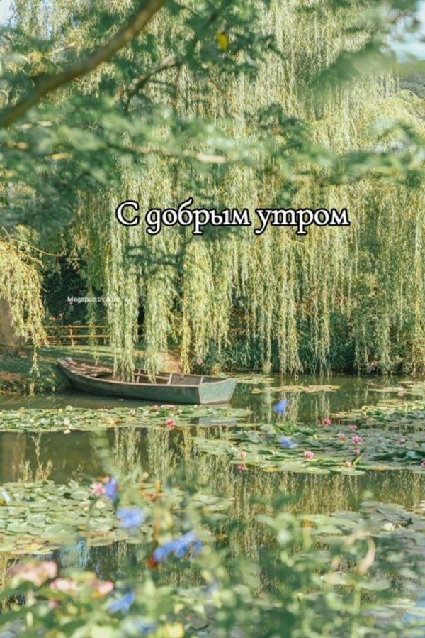 Изображение №60 467x700  из коллекции «Летние открытки «С добрым утром!»»