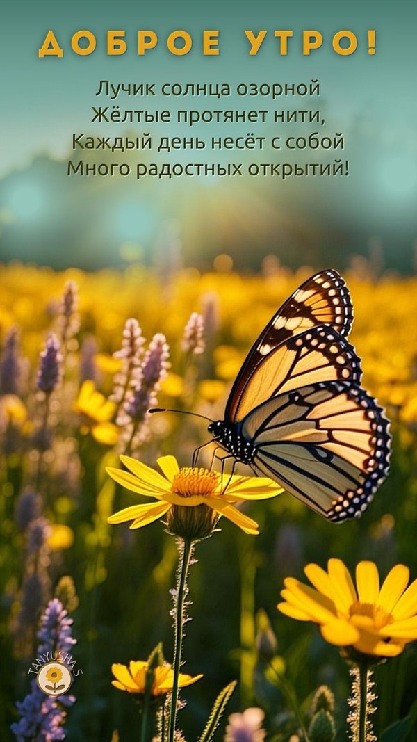 Изображение №68 1080x1920  из коллекции «Летние открытки «С добрым утром!»»