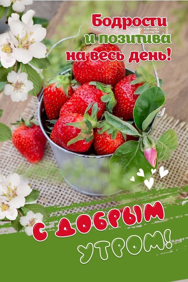 Изображение №9 853x1280 «Бодрости и позитива на весь день! Клубничка.» из коллекции «Летние открытки «С добрым утром!»»