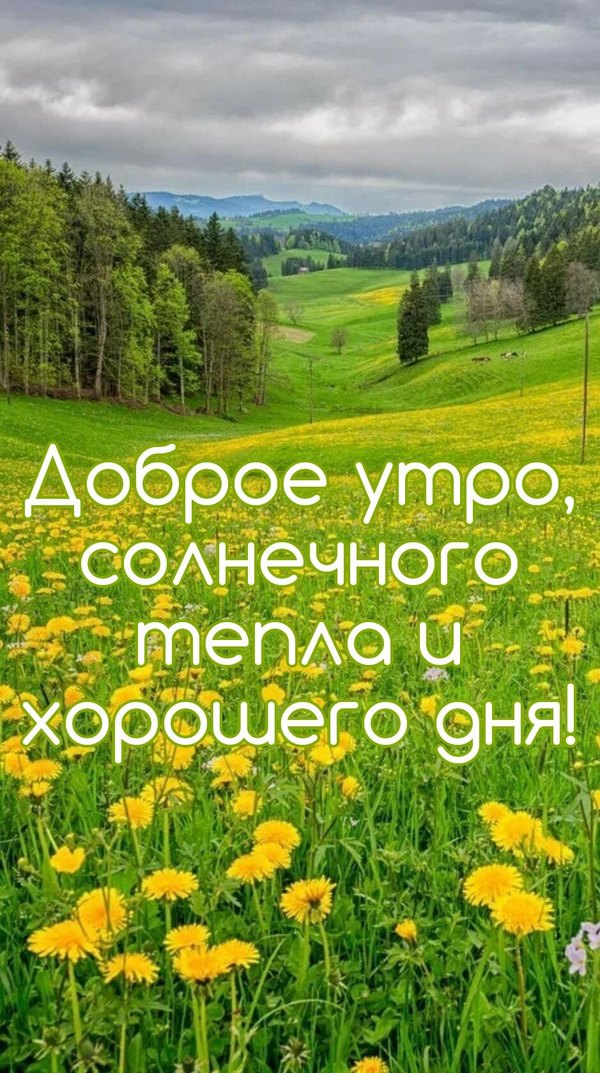 Изображение №18 939x1680 «Доброе утро, солнечного тепла и хорошего дня!» из коллекции «Летние открытки «С добрым утром!»»