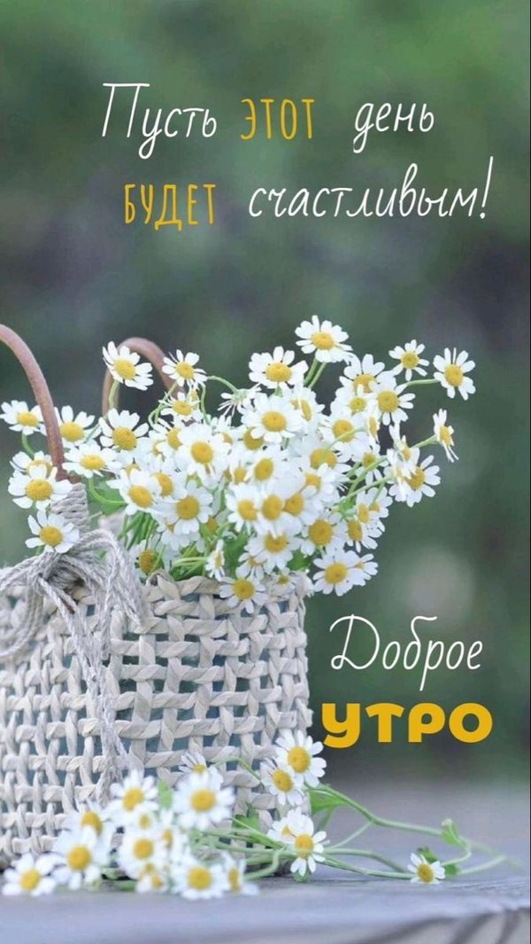 Изображение №15 676x1200 «Пусть этот день будет счастливым! Доброе утро!» из коллекции «Летние открытки «С добрым утром!»»