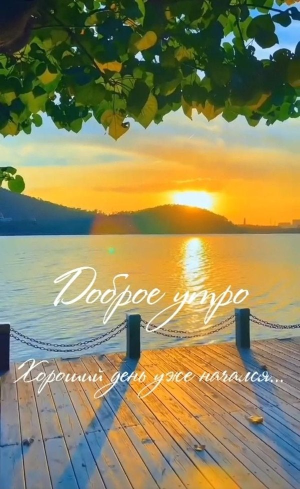 Изображение №63 736x1198  из коллекции «Летние открытки «С добрым утром!»»