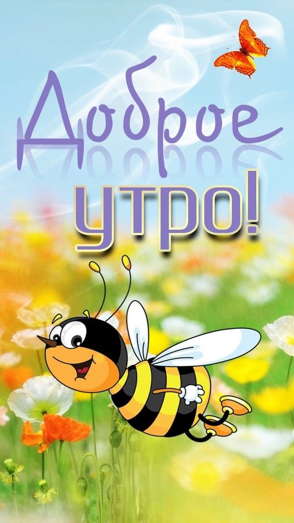 Изображение №44 639x1136  из коллекции «Летние открытки «С добрым утром!»»