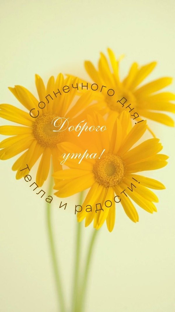 Изображение №39 736x1308 «Доброго утра! Солнечного дня, тепла и радости!» из коллекции «Летние открытки «С добрым утром!»»