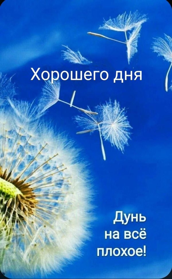 Изображение №5 988x1600  из коллекции «Летние открытки «С добрым утром!»»