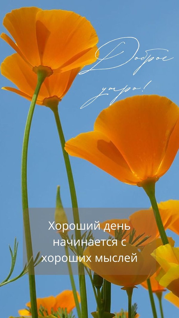 Изображение №17 1080x1920 «Хороший день начинается с хороших мыслей!» из коллекции «Летние открытки «С добрым утром!»»