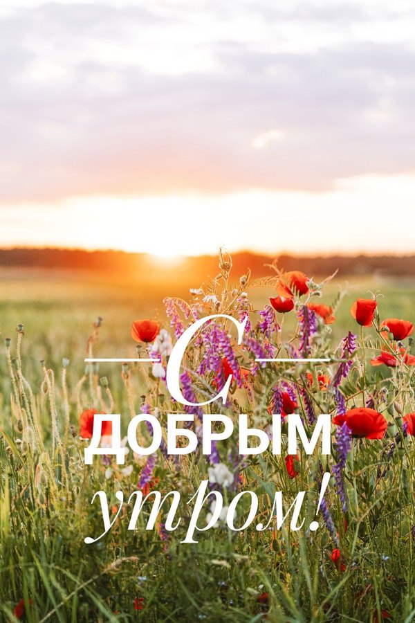 Изображение №48 1021x1531 «С добрым утром! Цветы Маки.» из коллекции «Летние открытки «С добрым утром!»»