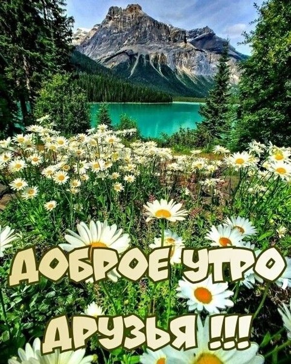 Изображение №74 483x604 «Доброе утро друзья!» из коллекции «Летние открытки «С добрым утром!»»