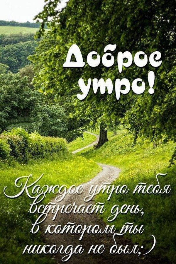 Изображение №31 533x800 «Доброе утро! Зеленая природа, тропинка.» из коллекции «Летние открытки «С добрым утром!»»