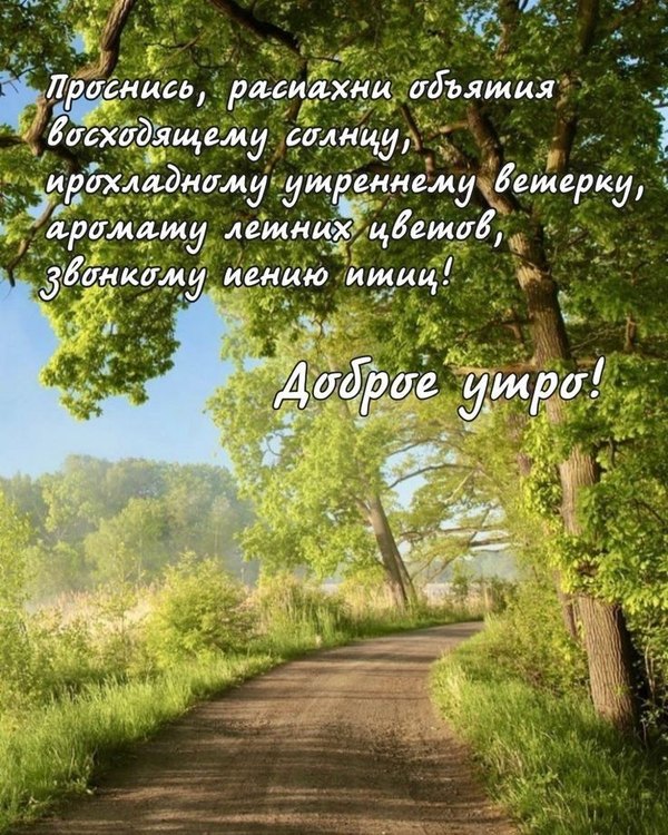 Изображение №65 736x920  из коллекции «Летние открытки «С добрым утром!»»